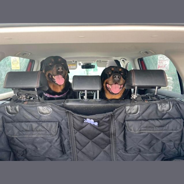 Photo of Opie & Lyla