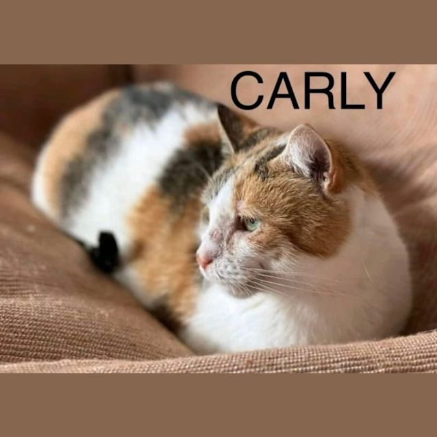 Photo of Carly