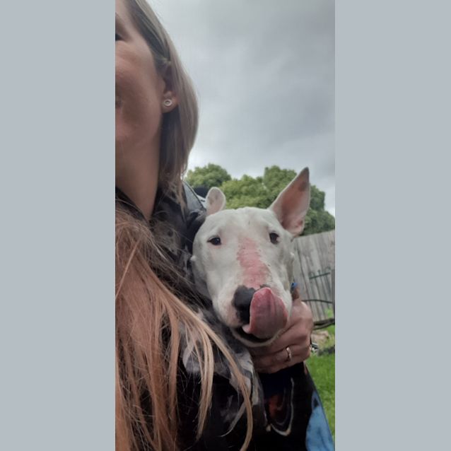 Photo of Batman Billy