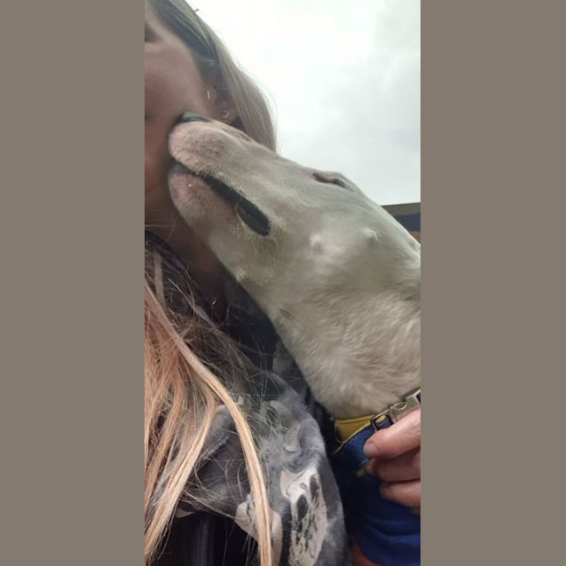 Photo of Batman Billy