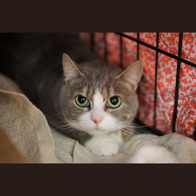Photo of Mabel 