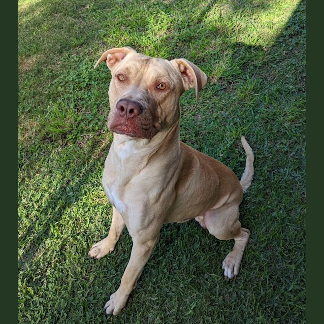Photo of Chase