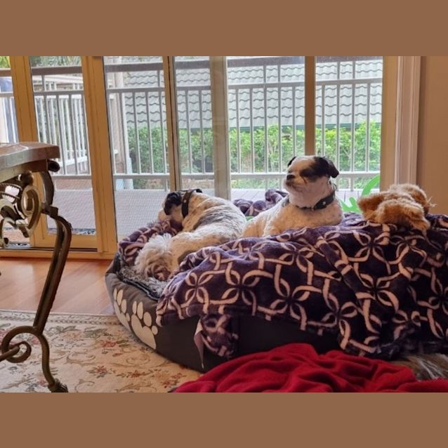 Photo of Norby And Cassy