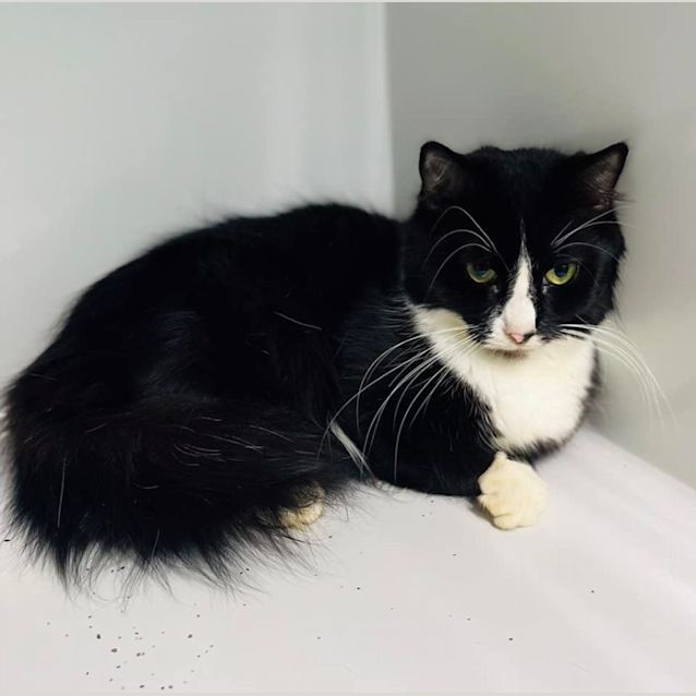 Photo of Sugar