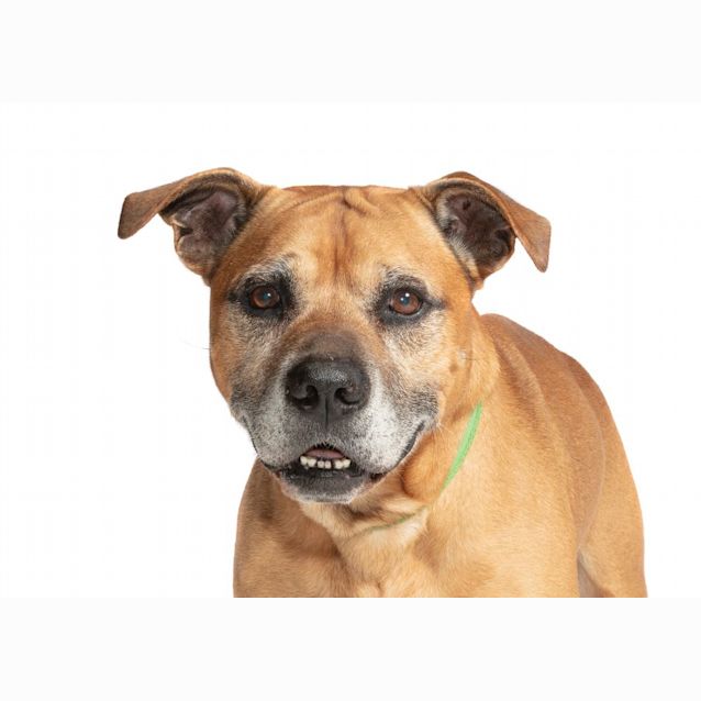 Photo of Max