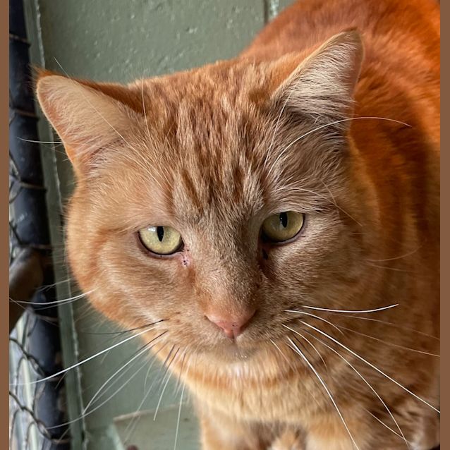 Photo of Ernie