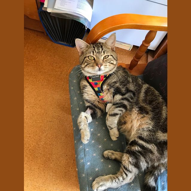 Photo of Thomas