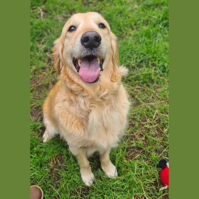 Photo of Charlie