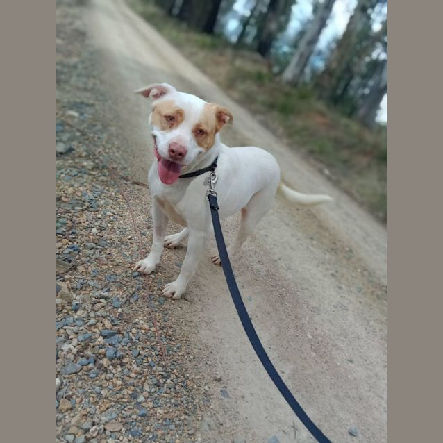 Photo of Floss