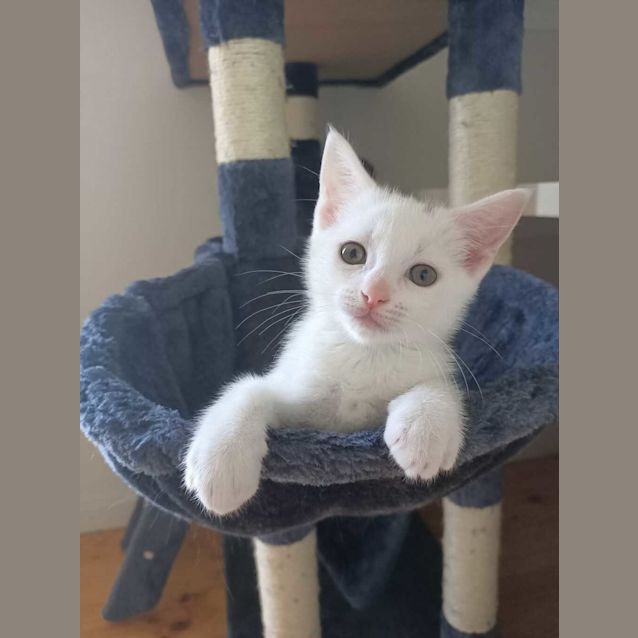 Photo of Calypso