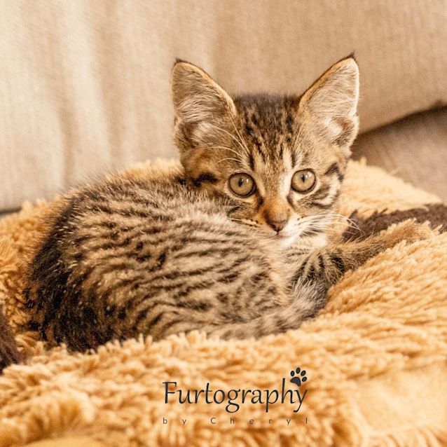 Photo of Minnie