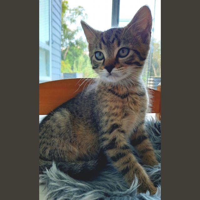 Photo of C1089 Barry