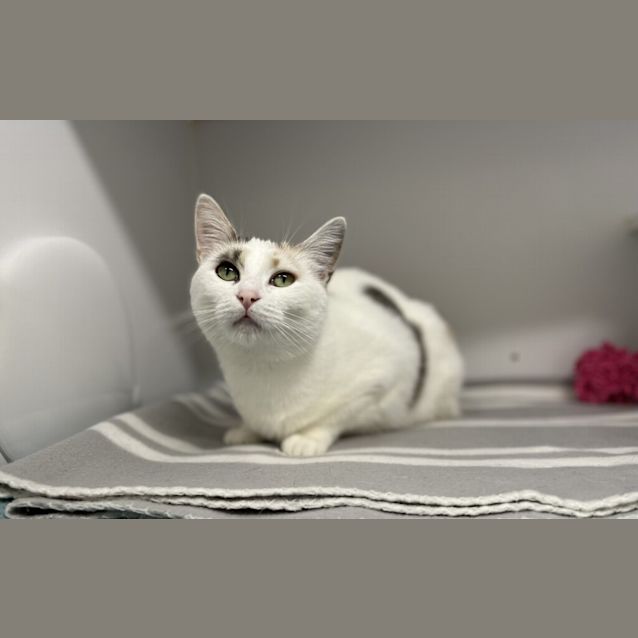 Photo of Mae