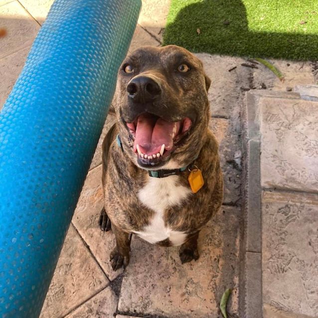 Photo of Cooper Dl2414