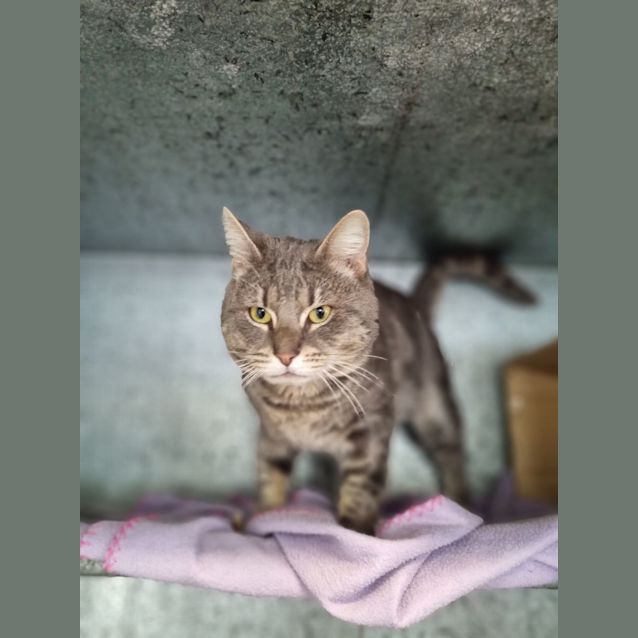Photo of Spike