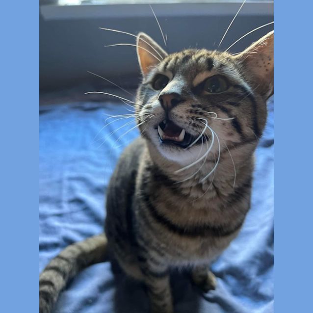 Photo of Johnny And Stellar