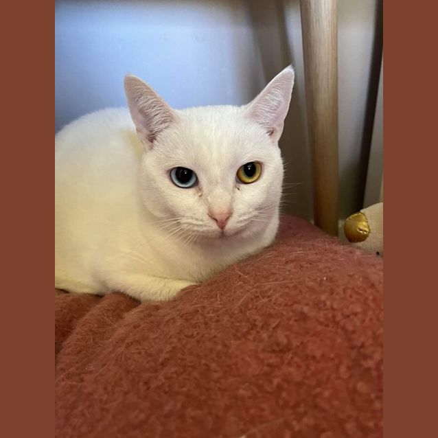 Photo of Johnny And Stellar