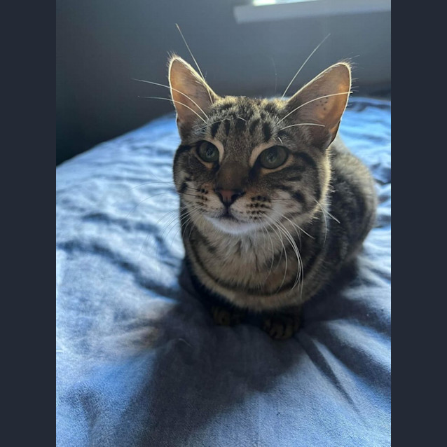 Photo of Johnny And Stellar