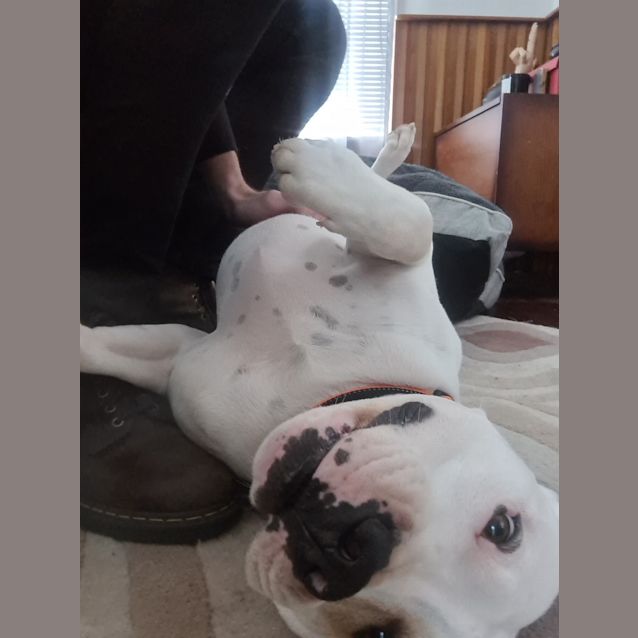 Photo of Wilfred