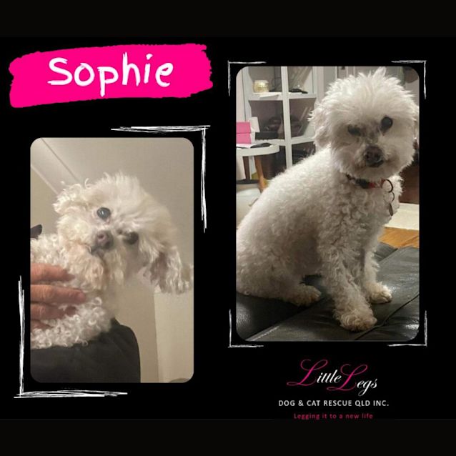 Photo of Sophie