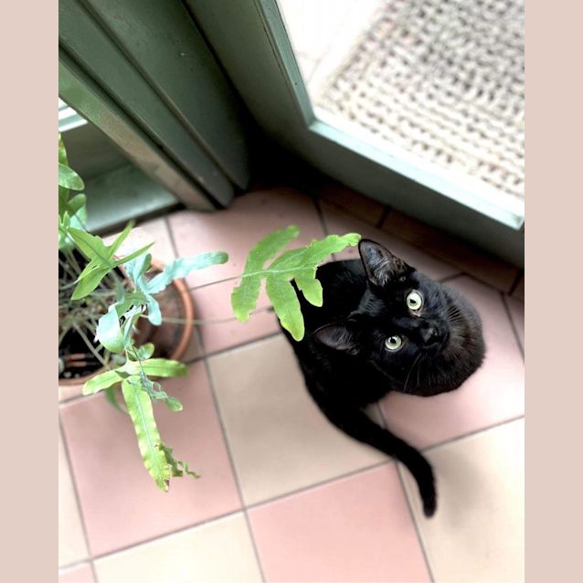 Photo of Greg   Located In Clifton Hill