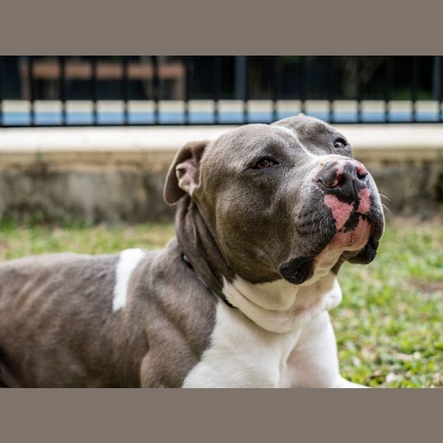 Photo of D792 Cash