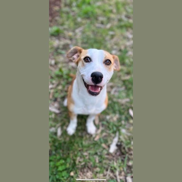 Photo of 💙💙Princess Pringle 🧡🧡