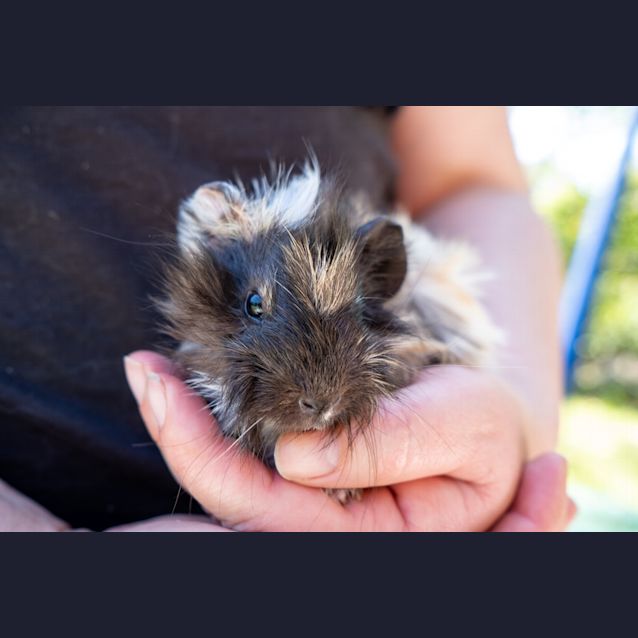 Photo of Popcorn