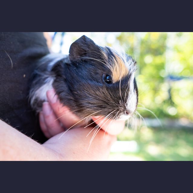 Photo of Evie