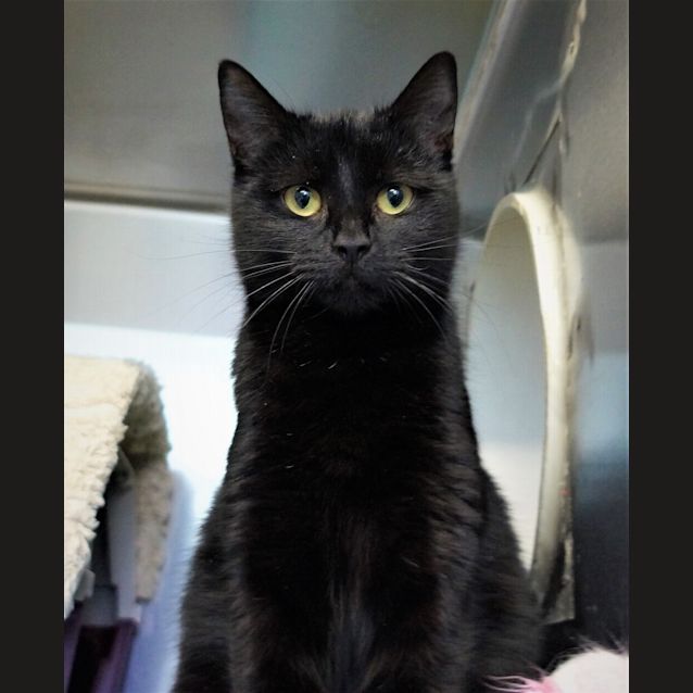 Photo of Luna