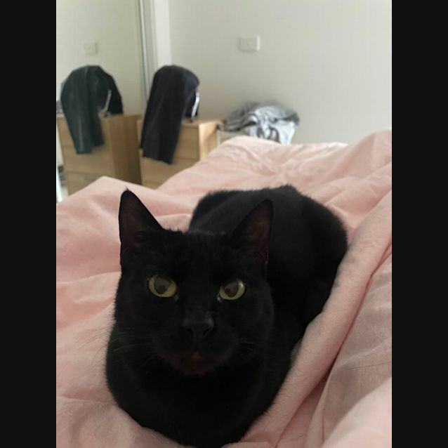 Photo of Maiya