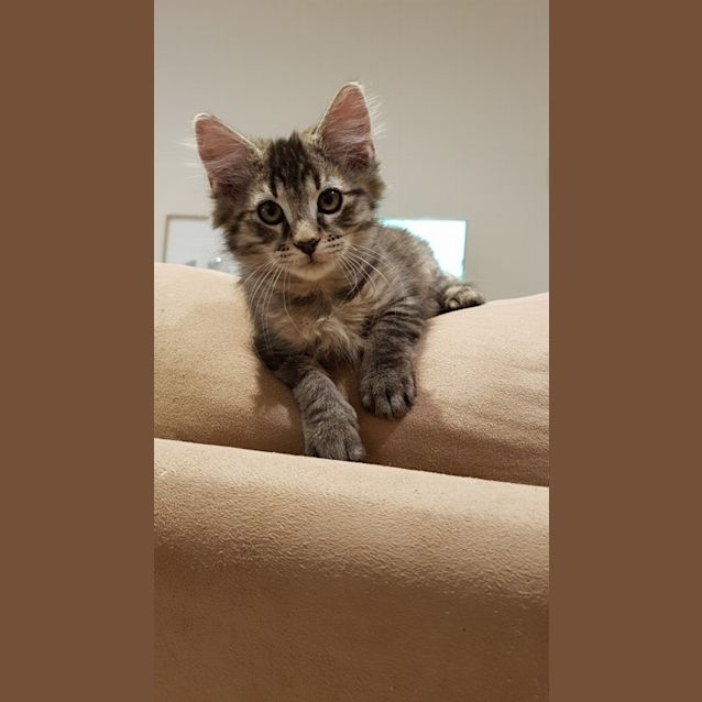 Photo of Walter