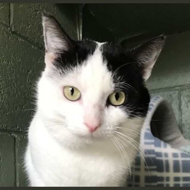 Photo of Pablo 