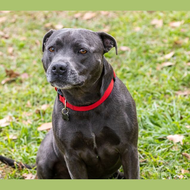 Photo of Pippi & Shelly