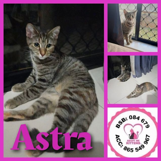 Photo of Astra