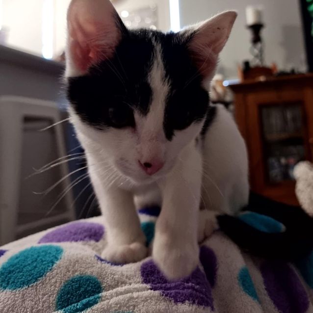 Photo of Salem
