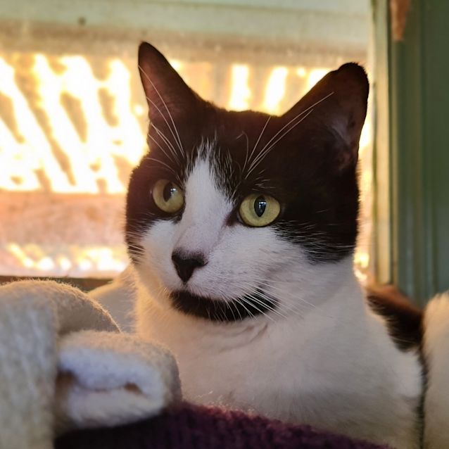 Photo of Matilda
