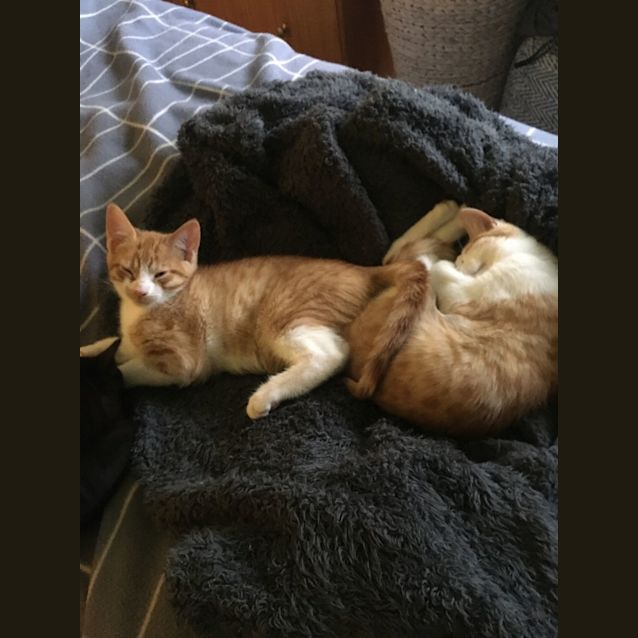 Photo of Fred & George ❤