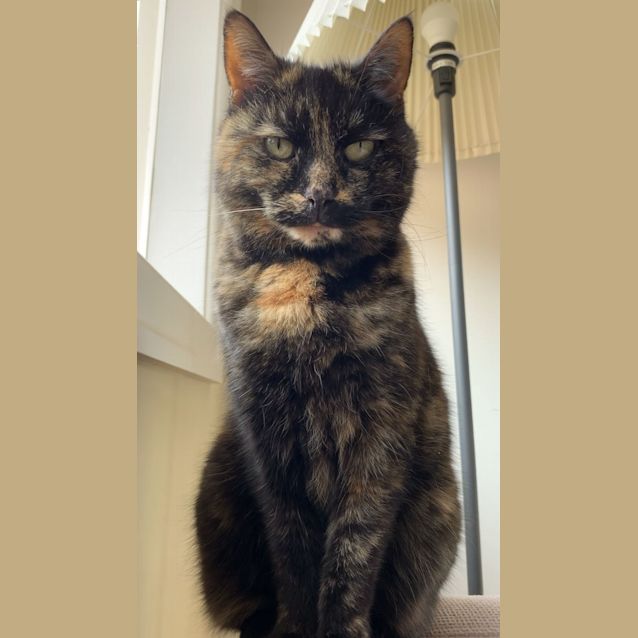 Photo of Molly