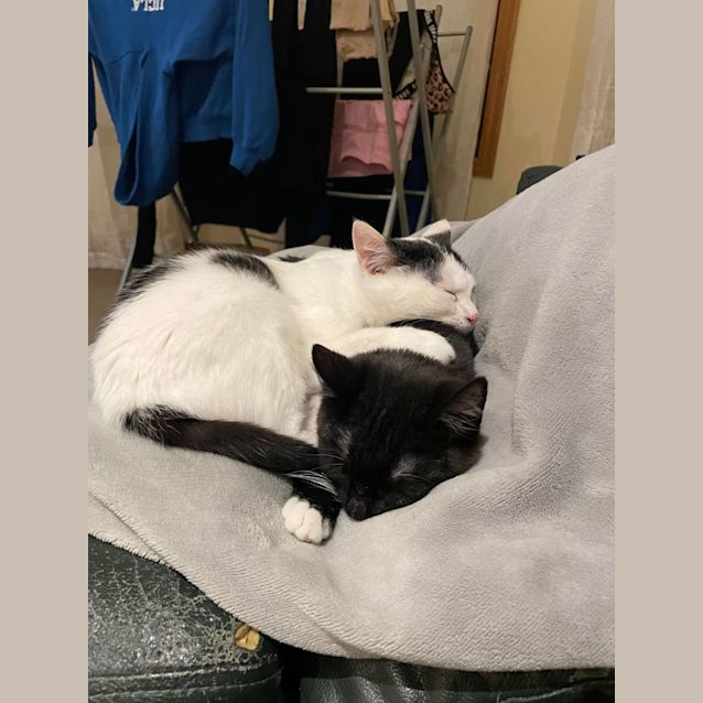 Photo of Charlie & Lola