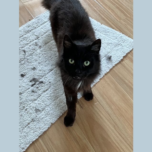 Photo of Billy