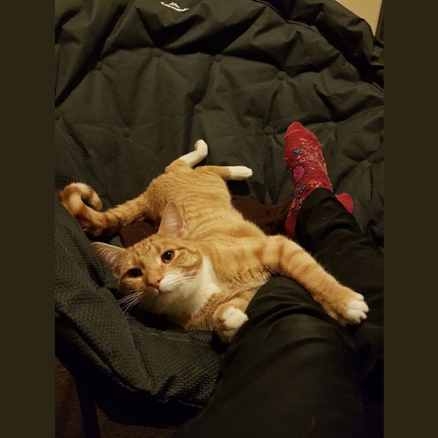 Photo of Finn