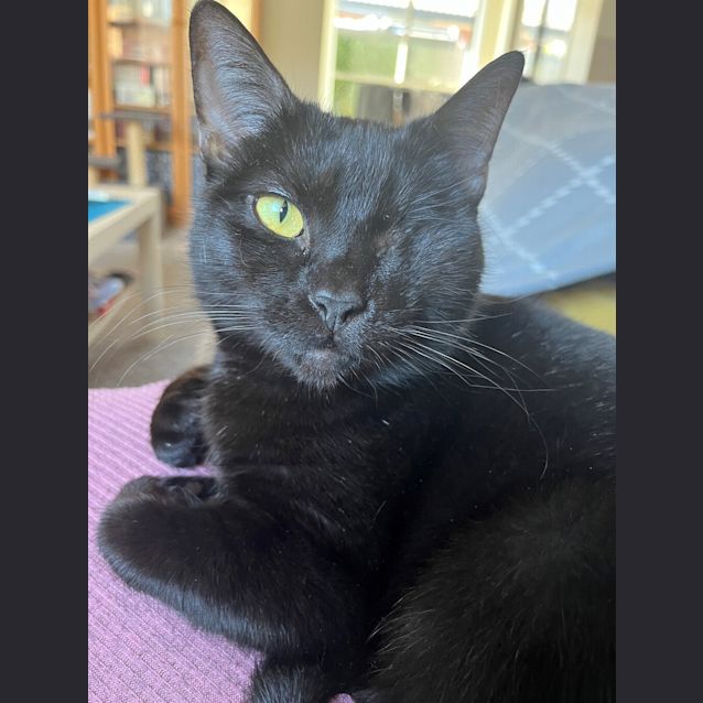 Photo of Sabine