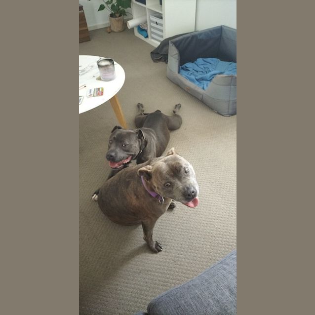 Photo of Evie