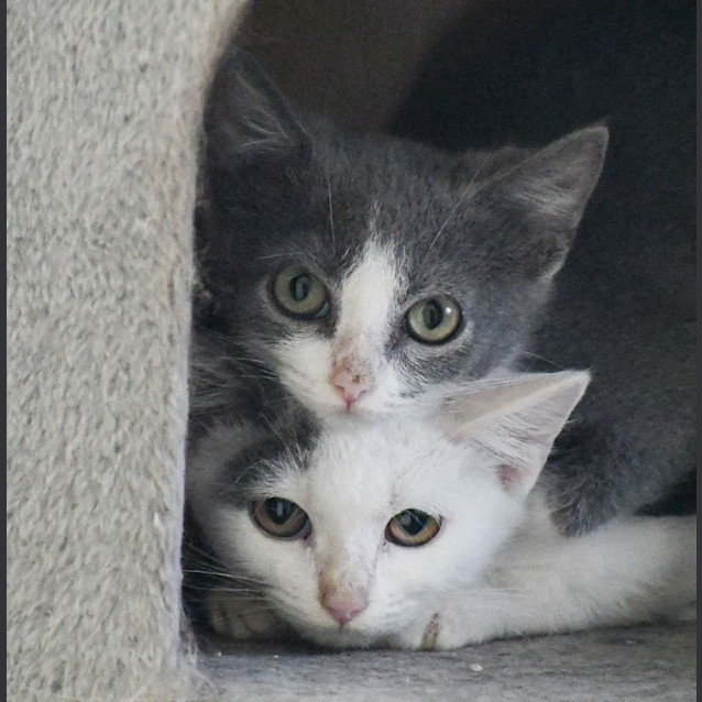 Photo of Jilly & Jelly