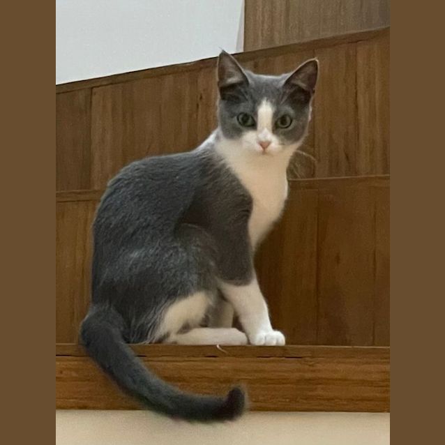 Photo of Jilly