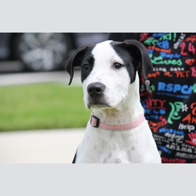Photo of Nellie