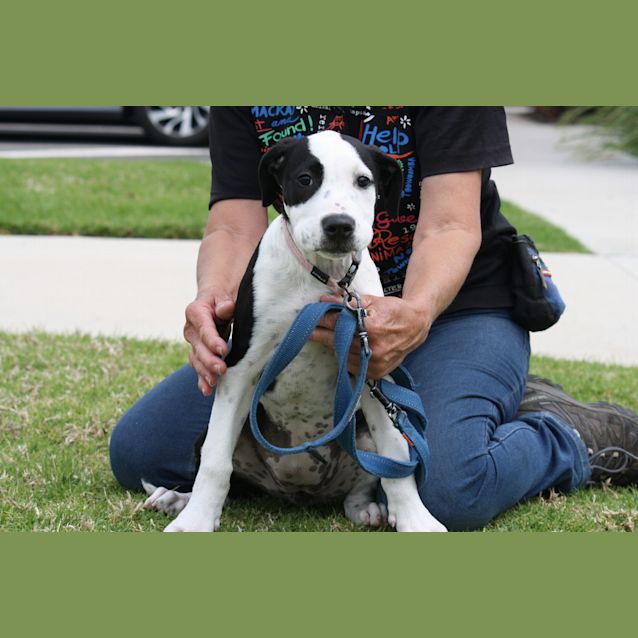 Photo of Nellie
