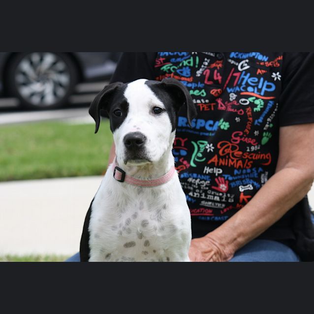 Photo of Nellie
