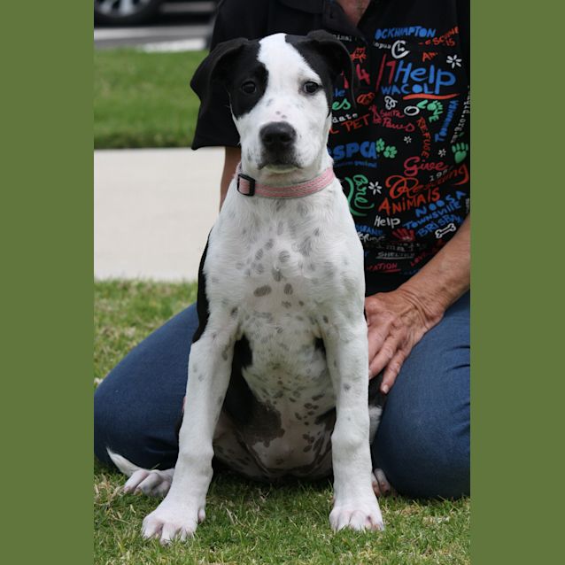 Photo of Nellie